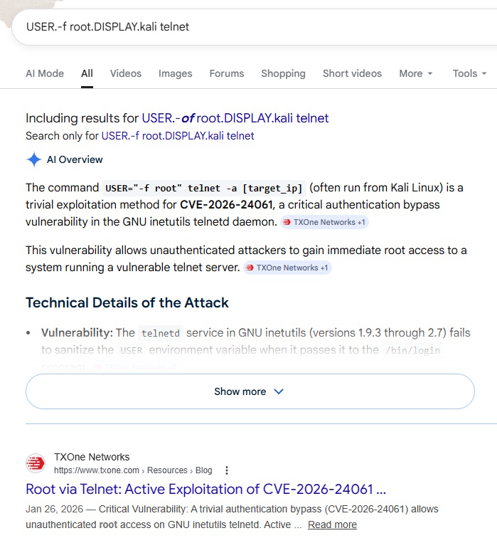 Google Search for Task 1 CVE